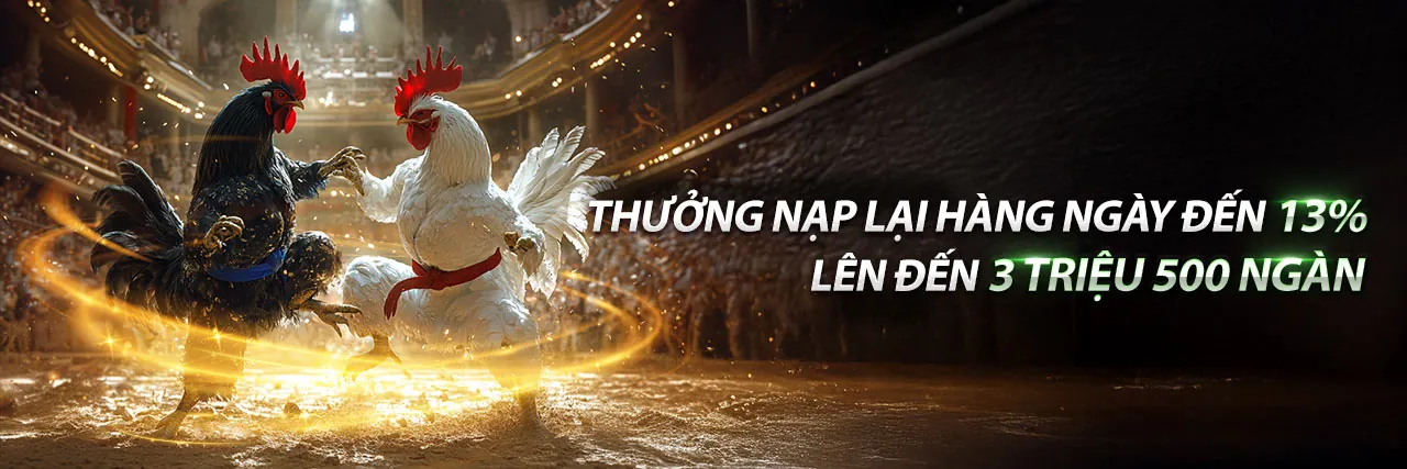 Đá Gà Trực Tiếp Một Thời – Sân Đấu Kịch Tính